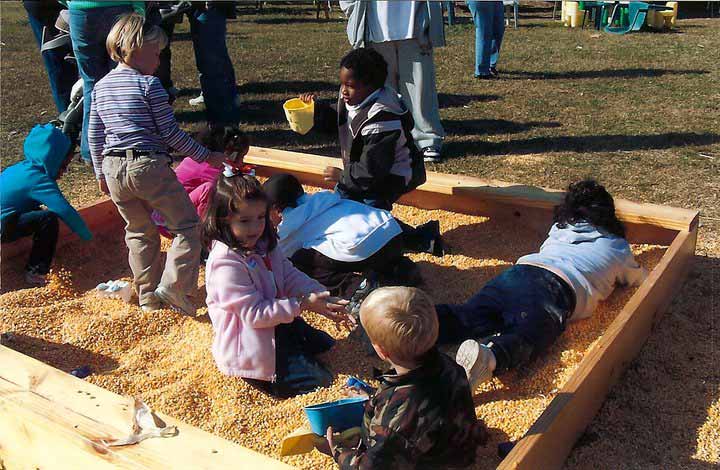 Fun in the Corn Box