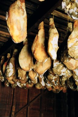 Hams hanging from the rafters 