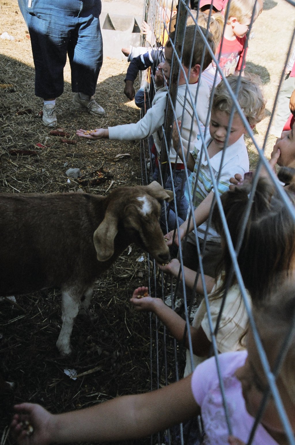 Kids feeding kids.