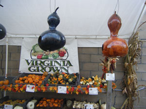 Painted Gourds Birdhouses